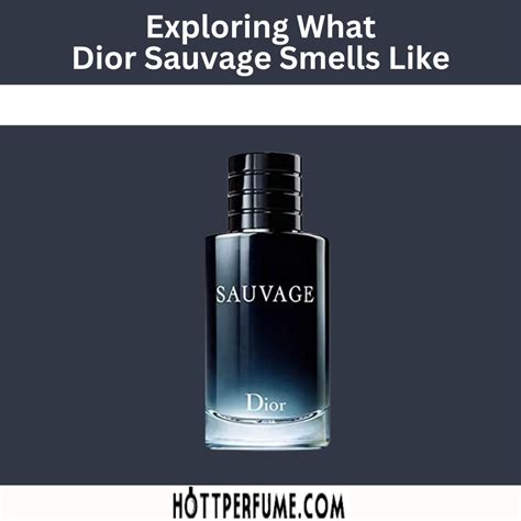 dior sauvage note|what does sauvage smell like.